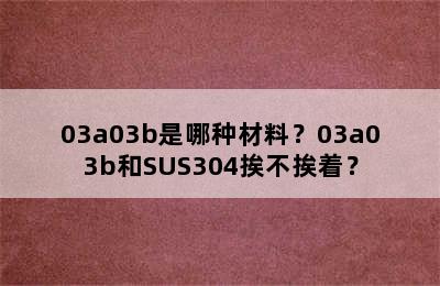 03a03b是哪种材料？03a03b和SUS304挨不挨着？
