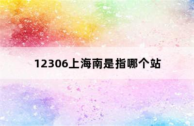 12306上海南是指哪个站