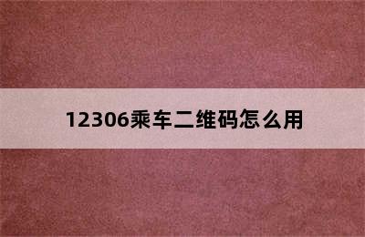 12306乘车二维码怎么用