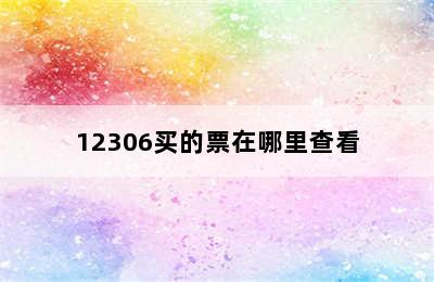 12306买的票在哪里查看