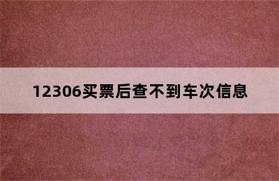 12306买票后查不到车次信息