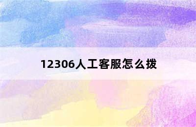 12306人工客服怎么拨