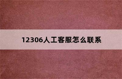 12306人工客服怎么联系