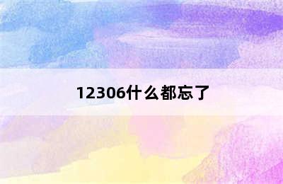 12306什么都忘了