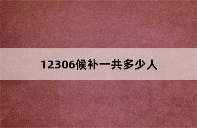 12306候补一共多少人