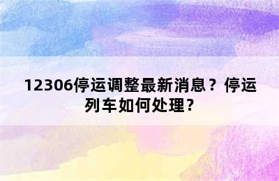 12306停运调整最新消息？停运列车如何处理？