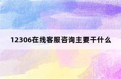 12306在线客服咨询主要干什么