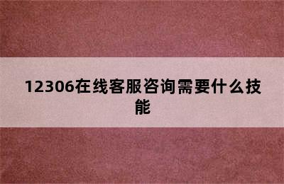 12306在线客服咨询需要什么技能