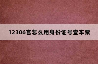 12306官怎么用身份证号查车票