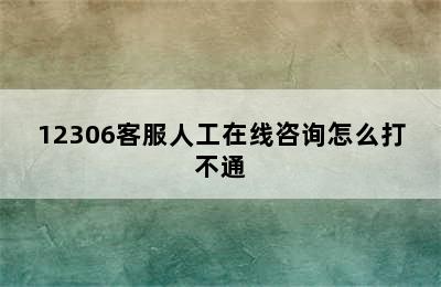 12306客服人工在线咨询怎么打不通