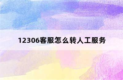 12306客服怎么转人工服务