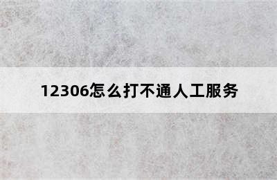 12306怎么打不通人工服务