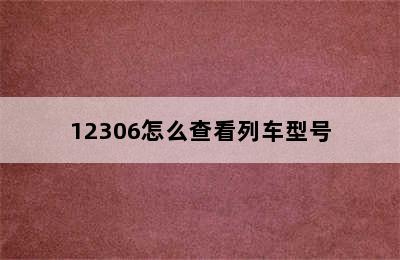 12306怎么查看列车型号