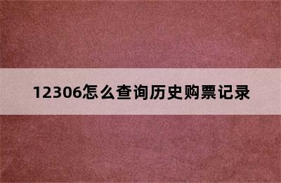 12306怎么查询历史购票记录