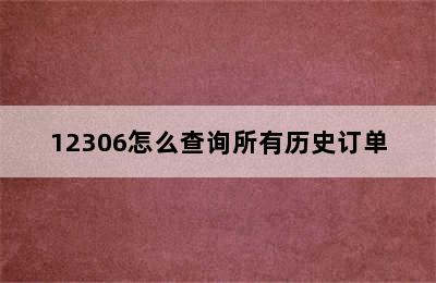 12306怎么查询所有历史订单