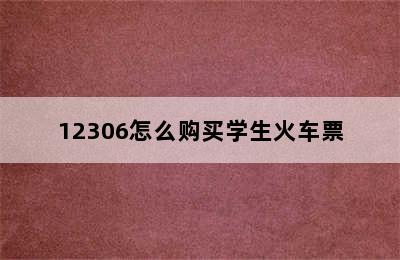 12306怎么购买学生火车票