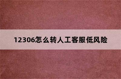 12306怎么转人工客服低风险