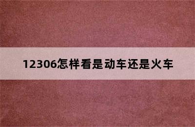 12306怎样看是动车还是火车