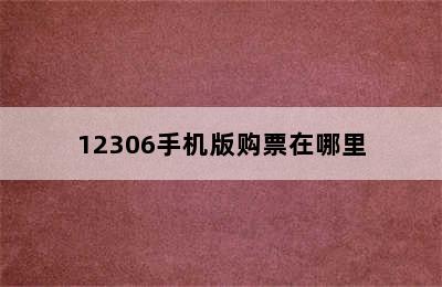 12306手机版购票在哪里