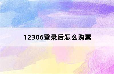 12306登录后怎么购票