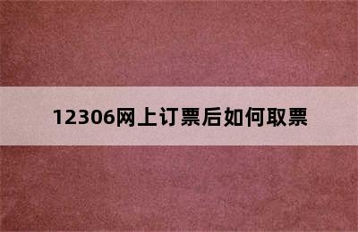 12306网上订票后如何取票