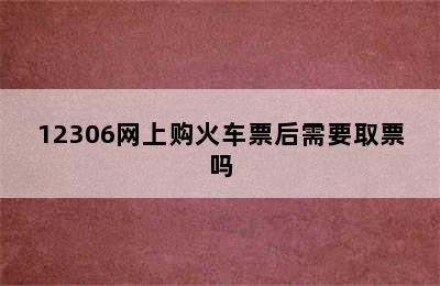 12306网上购火车票后需要取票吗