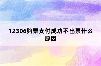 12306购票支付成功不出票什么原因