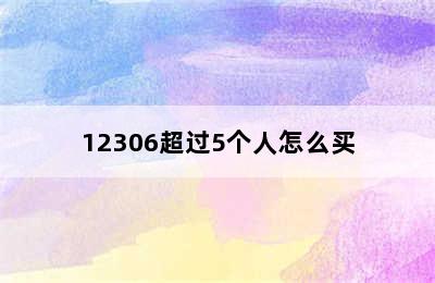 12306超过5个人怎么买