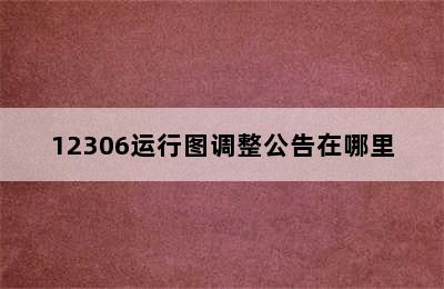 12306运行图调整公告在哪里