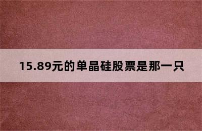 15.89元的单晶硅股票是那一只