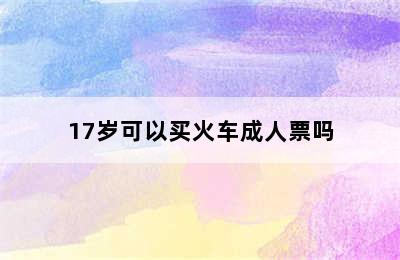 17岁可以买火车成人票吗