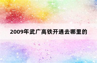 2009年武广高铁开通去哪里的