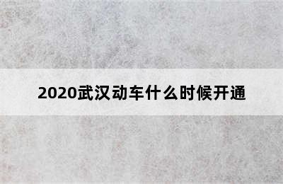 2020武汉动车什么时候开通