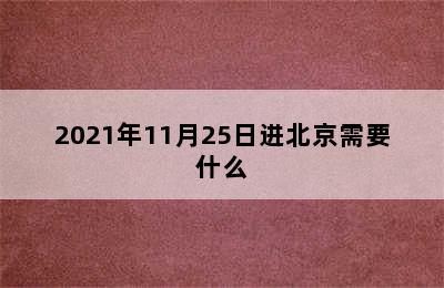 2021年11月25日进北京需要什么