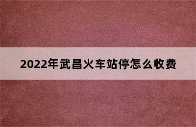 2022年武昌火车站停怎么收费