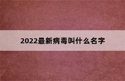 2022最新病毒叫什么名字