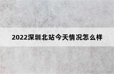 2022深圳北站今天情况怎么样