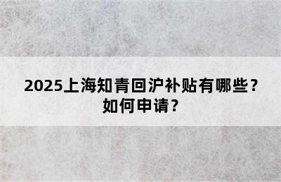 2025上海知青回沪补贴有哪些？如何申请？