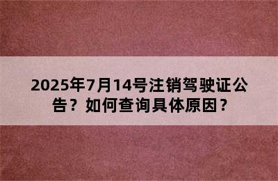 2025年7月14号注销驾驶证公告？如何查询具体原因？
