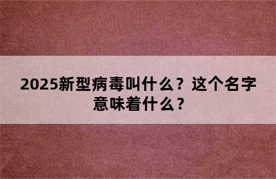 2025新型病毒叫什么？这个名字意味着什么？