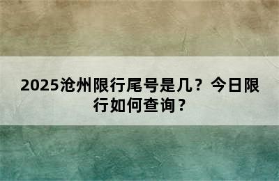 2025沧州限行尾号是几？今日限行如何查询？