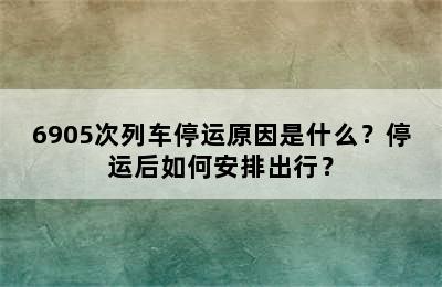 6905次列车停运原因是什么？停运后如何安排出行？