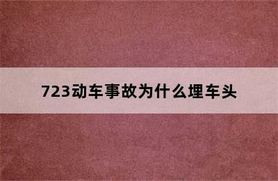 723动车事故为什么埋车头