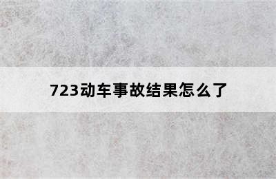 723动车事故结果怎么了