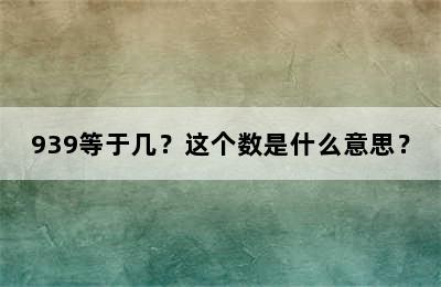 939等于几？这个数是什么意思？