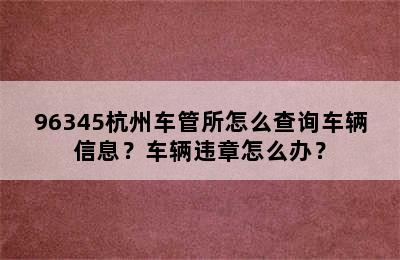 96345杭州车管所怎么查询车辆信息？车辆违章怎么办？