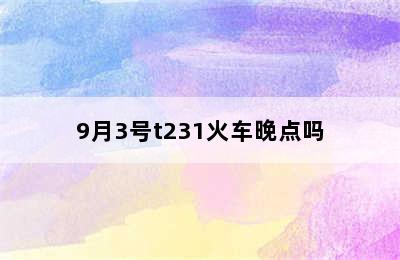 9月3号t231火车晚点吗