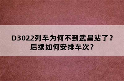 D3022列车为何不到武昌站了？后续如何安排车次？