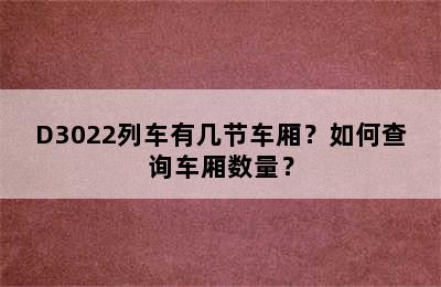 D3022列车有几节车厢？如何查询车厢数量？