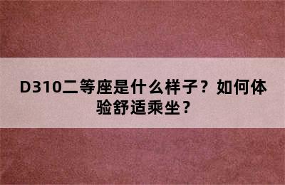 D310二等座是什么样子？如何体验舒适乘坐？
